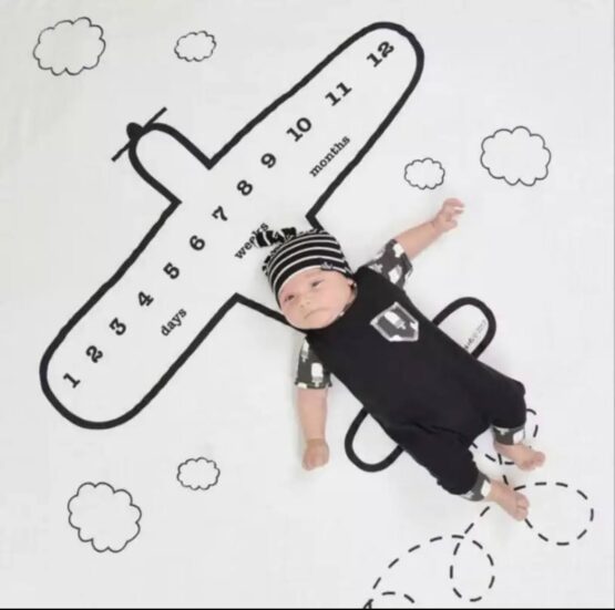 Plane Model Monthly Fabric Milestone