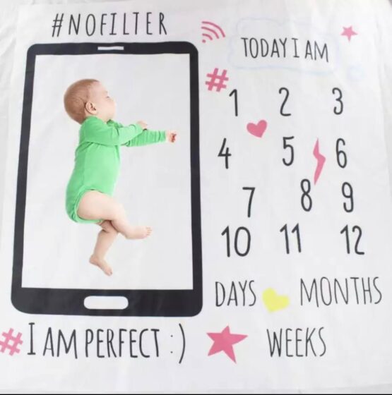 Handy Model Monthly Fabric Milestone