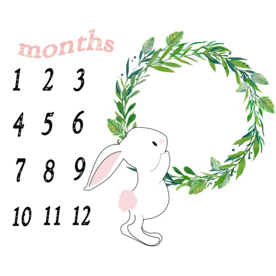 Rabbit Monthly Fabric blanket