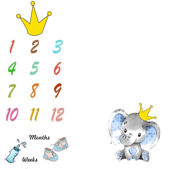 Elephant King  Monthly Milestone Fabric
