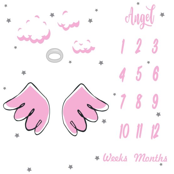 Pink Wing Monthly Milestone Fabric